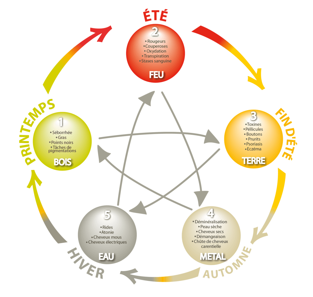 Les 5 saisons de l'énergie