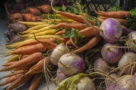 Les aliments à privilégier