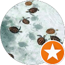 Elodie Dos Santos Loureiro profile picture